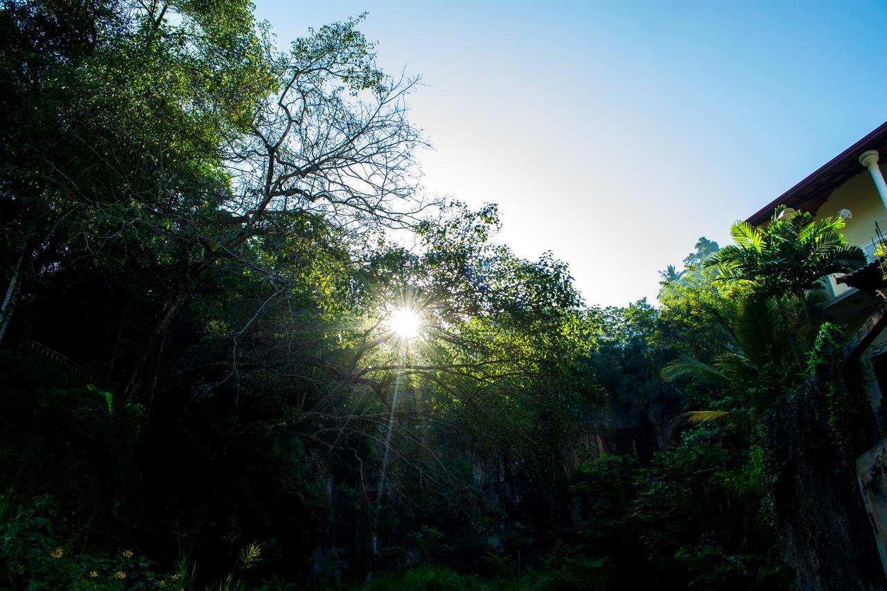 Kandyan Fo Rest Dış mekan fotoğraf